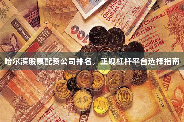 哈尔滨股票配资公司排名，正规杠杆平台选择指南